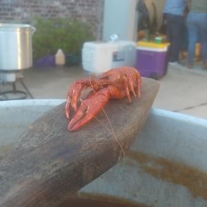 Meet your Posher, Chase